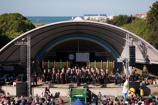 Audio Dynamite Limited Gallery - New Zealand