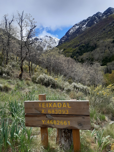 Teixadal de Casaio Gallery - Spain