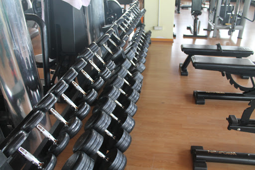 Wellness Program ASD - Visual