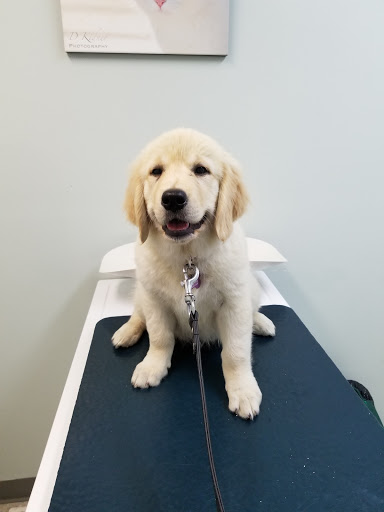 VCA Stittsville Small Animal Clinic - Thumbnail