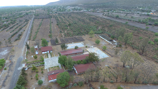 Escuela Secundaria Tecnica No. 20 "Gregorio Torres Quintero"