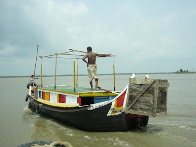 Photos of Dashani