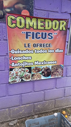 Comedor " Los Ficus's " - Thumbnail