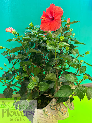 Doris' Flowers & Gifts Gallery - United States