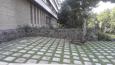 Photos of Women's Park 🏞