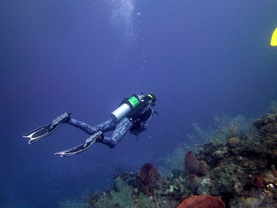 Photos of Warfighter Scuba