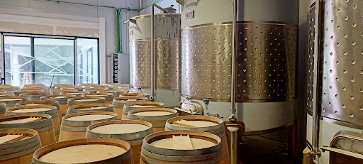 Bodega No me Acuerdo