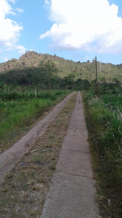 Photos of PATUNG TANI