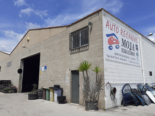 Auto Recanvis Moja