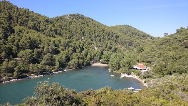Blato