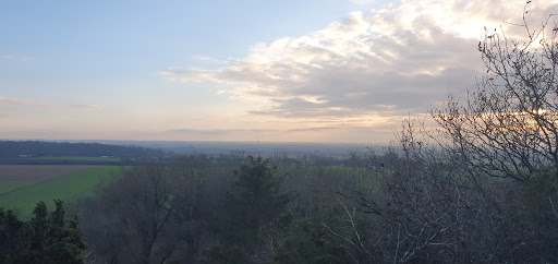 Billebjer - Visual