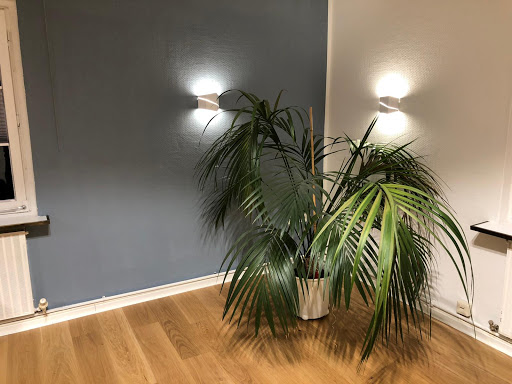 tecis Repräsentanz Philipp Ziege & Kollegen Gallery - Germany