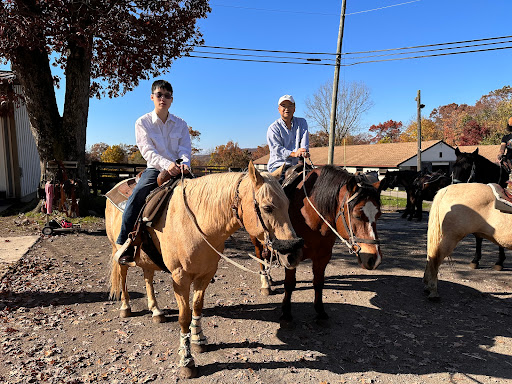Echo Lake Stable - Visual