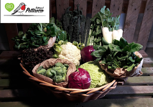 Fattoria Il Pettirosso - Thumbnail