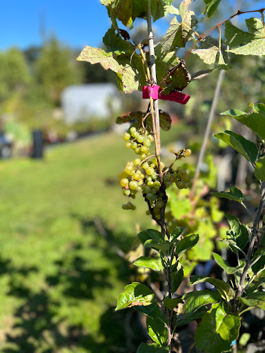 Skipley Farm - Visual