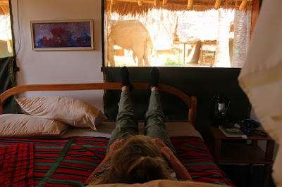 Photos of Kenya Expresso Tours & Safaris