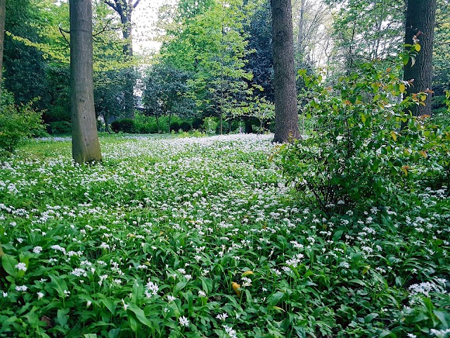 Jardin de la Tour Japonaise