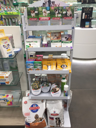 Farmacia Fidelis - Thumbnail