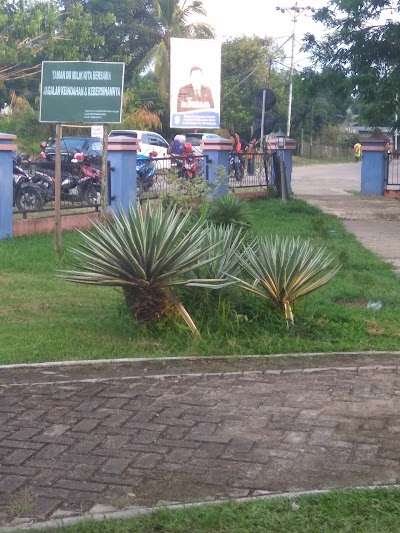 Photos of Triangle Park Sekadau