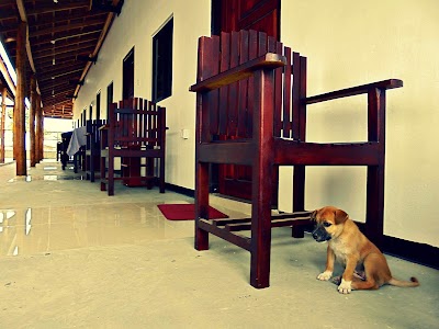 Photos of Grand Villa - Arugam Bay