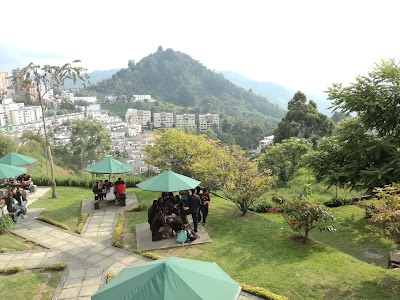 Photos of Caldas University