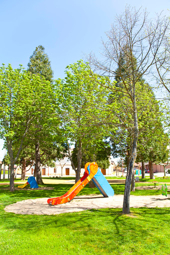 Plaza del Albero - Thumbnail