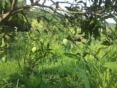 Photos of Ghose Agro Farm