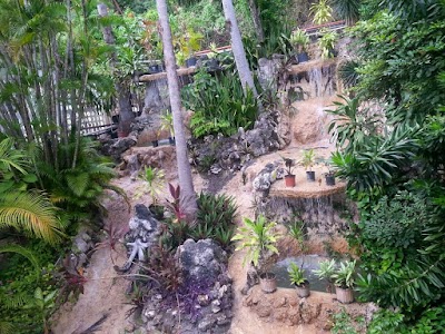 Photos of De Ja Resort
