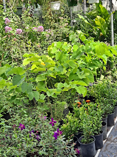 Lalita's Garden Gallery - United States