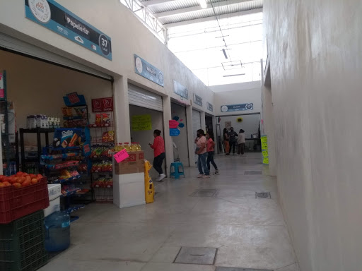 Nuevo centro comercial Iturbide - Mexico