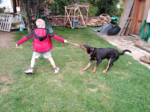 CANI'CAP EDUCATION - Thumbnail