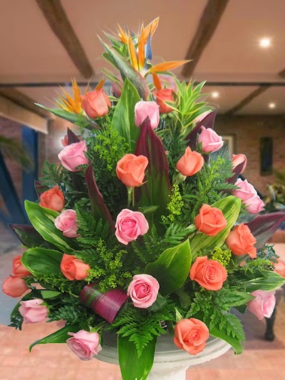Photos of Florister&iacute;a Agapanto