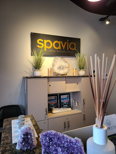 Spavia - Visual