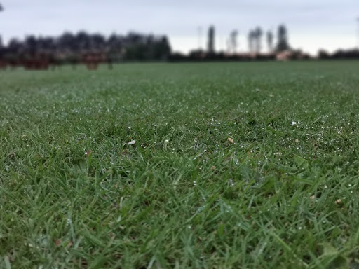 Basildon Sport & Leisure Club - Thumbnail
