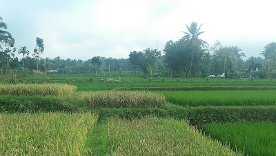 Photos of Pondok Indah Bungalow