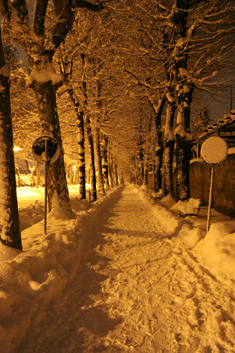 Viale degli Angeli - Thumbnail