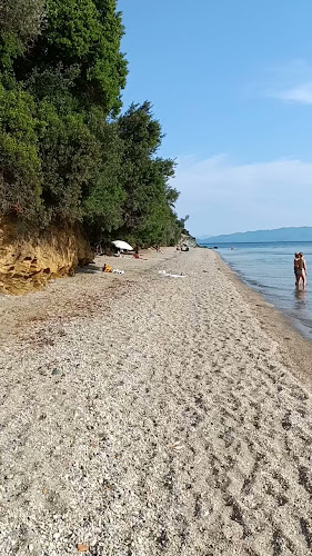 Αξιολογήσεις για το Παραλία Καλλιφτέρη στην Λάρισα - Μπαρ