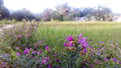 Photos of Lapangan Panahan Semen Padang