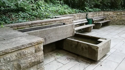 Wassertretstelle im Kurpark Tecklenburg - Thumbnail