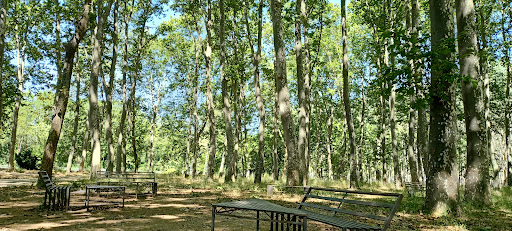 Institut Narcís Xifra i Masmitjà