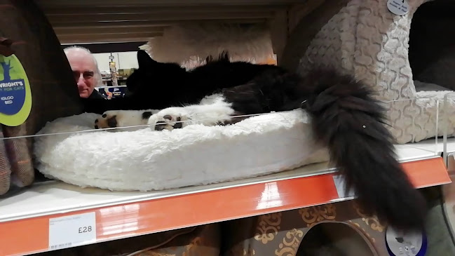 Reviews of Pets at Home Watford in Watford - Shop