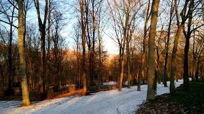 Photos of Gem&auml;ldegalerie