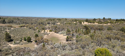 Wonga Campground - Thumbnail