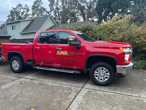 Junk Bees - Visual