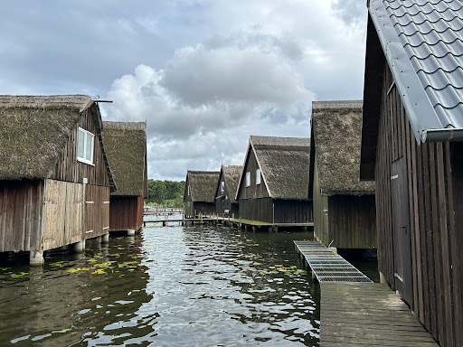 Marina Röbel - Thumbnail