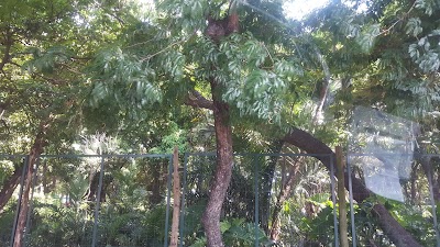 Photos of Los Mangales Park