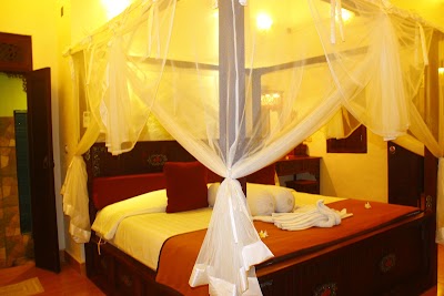 Photos of Merta house Jasan Village