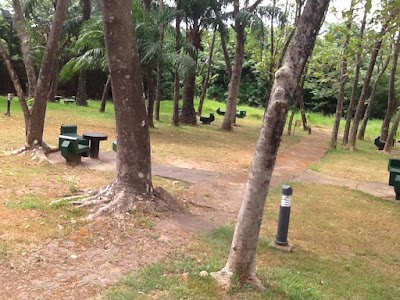 Photos of Omenala bush bar