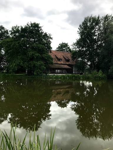 Wellesweiher - Visual