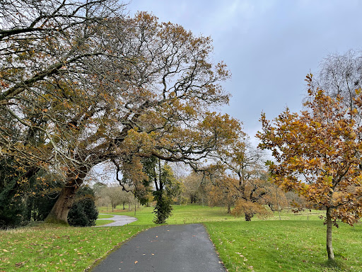 Parc Singleton Park - Visual